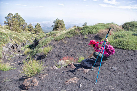 Etna Family Tour: private excursion on Etna mt. for families