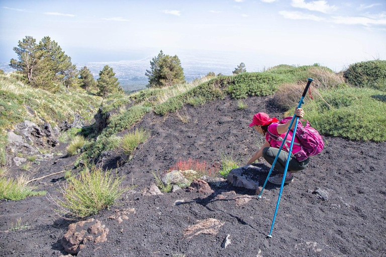 Etna Family Tour: excursão particular no monte Etna para famílias