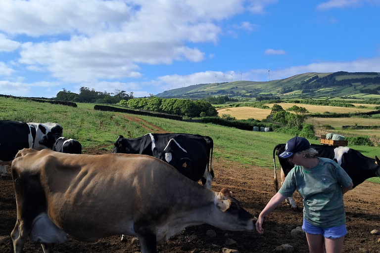 Azores: Half-Day Dairy Farm Tour