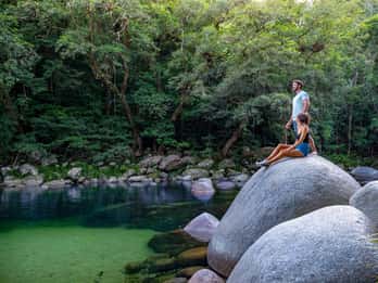 Port Douglas: Tour della foresta pluviale di Daintree e di Cape Tribulation