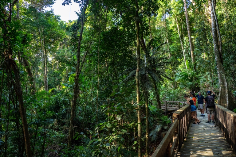 Ab Port Douglas: Daintree Rainforest und Mossman Gorge Tour