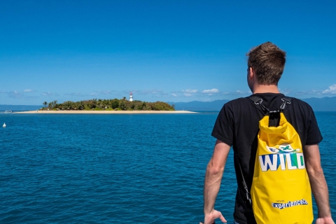 Port Douglas: Wycieczka z nurkowaniem po Niskich WyspachWycieczka popołudniowa