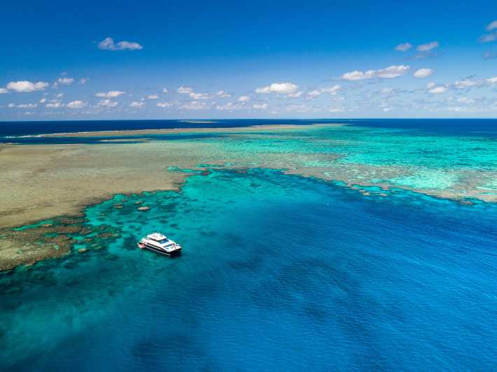 Port Douglas: Outer Barrier Reef Snorkel Cruise & Transfer | GetYourGuide
