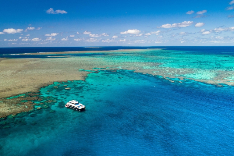 Port Douglas: Outer Barrier Reef Snorkel Cruise & Transfer Port Douglas Intro Dive & Snorkel Tour With Hotel Pickup