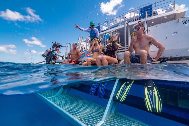 Port Douglas: Outer Barrier Reef Snorkel Cruise & TransferPort Douglas Snorkeltour met hotelovername