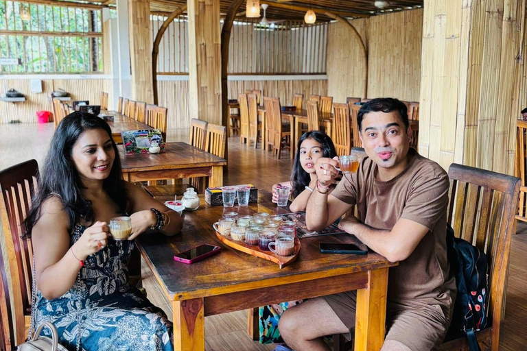 Ubud: Private Half-Day Tour Rice Terrace, Temple & Waterfall Private Half-Day Tour (With Entrance Tickets)