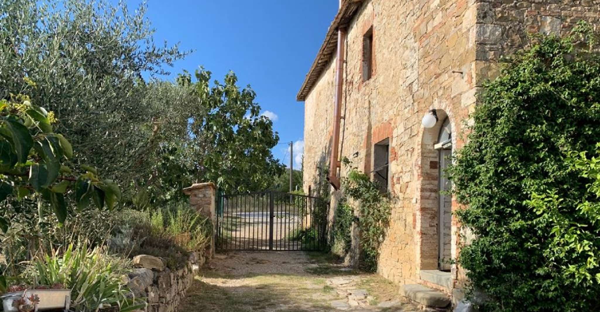 Siena, Chianti Farm Cooking Class yakınlarında yapılacak şeyler - Hizvo