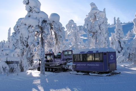 Joyas de Laponia: visita a la mina de amatista en Luosto