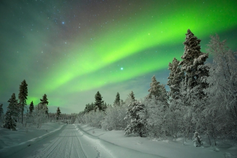 Northern Lights Sledge Ride Pulled by Snowmobile