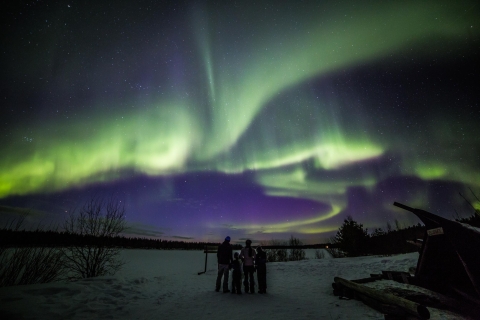 Aurora boreal: paseo en trineo tirado por una moto de nieve