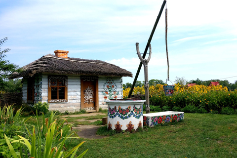 Från Krakow: Zalipie Village Private Tour