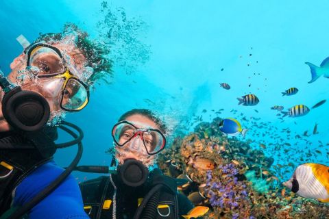 Alanya: tour di immersioni subacquee con pranzo