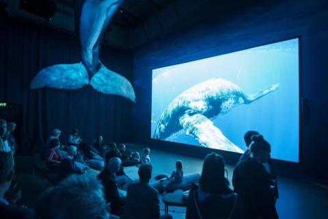 Reykjavik: walvissen spotten Whales of Iceland-expositie