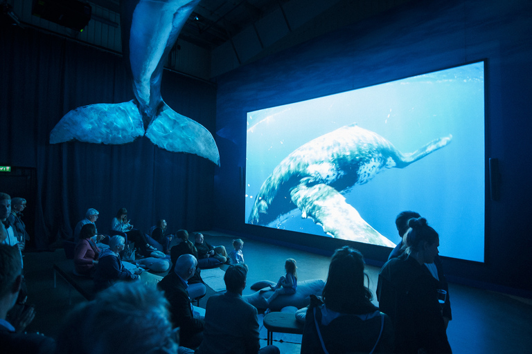 Reykjavík: avvistamento balene e mostra Whales of Iceland