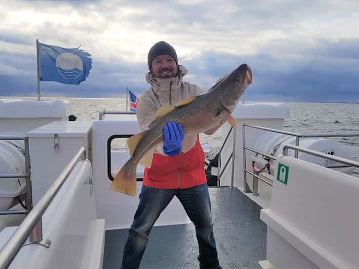Icelandic Sea Fishing from Reykjavik GetYourGuide