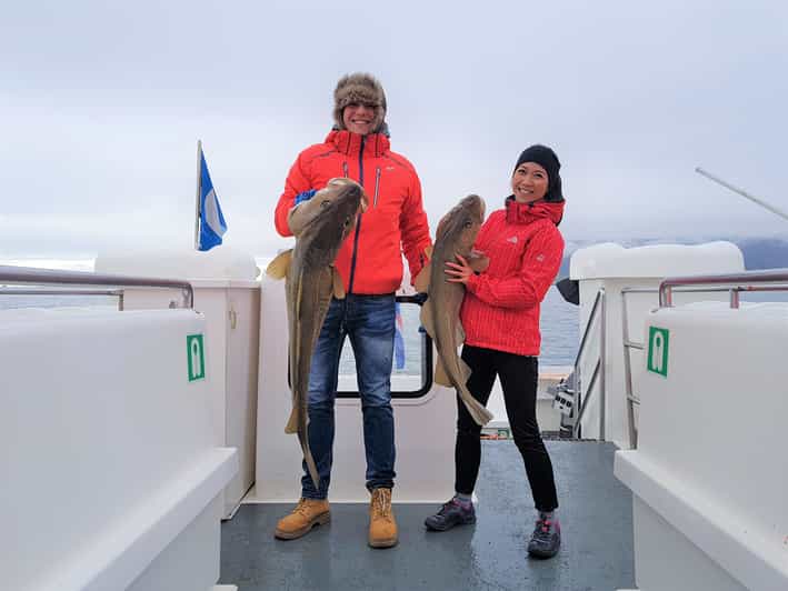 Icelandic Sea Fishing from Reykjavik GetYourGuide