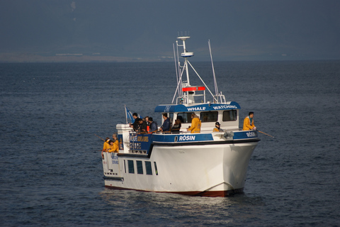 Icelandic Mer Pêche à partir de ReykjavikPêche en mer islandaise de Reykjavik