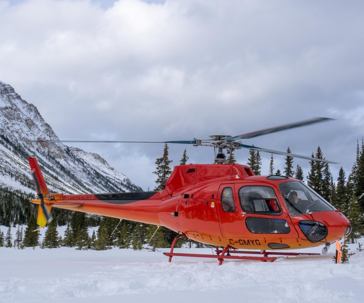 Rocosas Canadienses: Excursión invernal en helicóptero y con raquetas de nieve