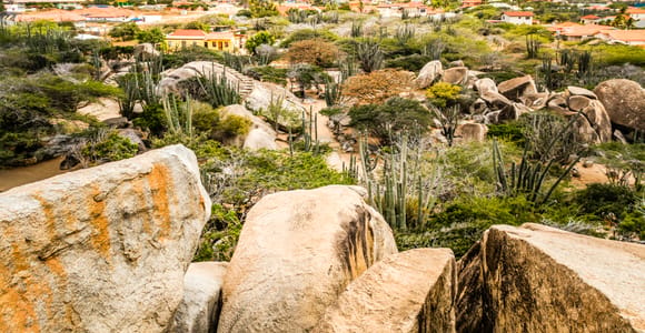 Aruba: 5.5-Hour Guided Island Sightseeing Tour