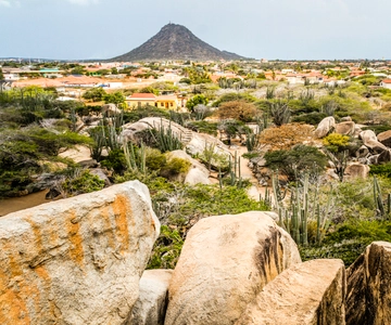 Aruba: 5.5-Hour Guided Island Sightseeing Tour