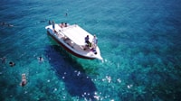 From Hvar, Vis Island and Blue Cave Speedboat Tour - Housity