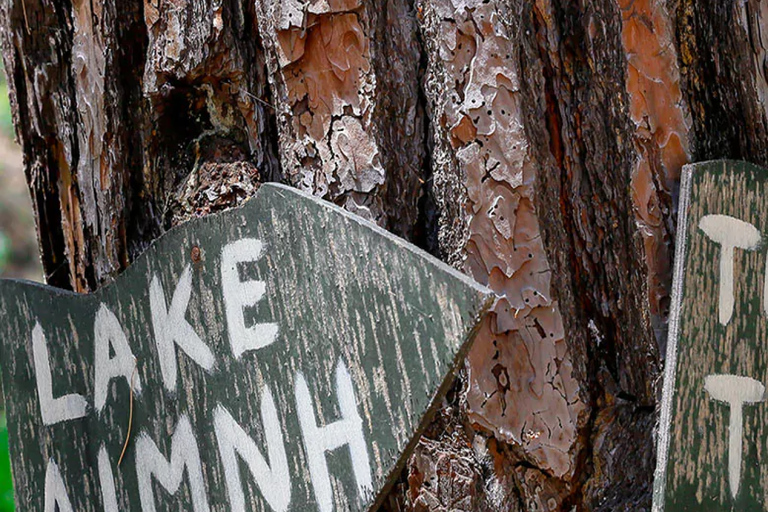 From Rhodes: Bus Tour to Lindos and the Seven Springs