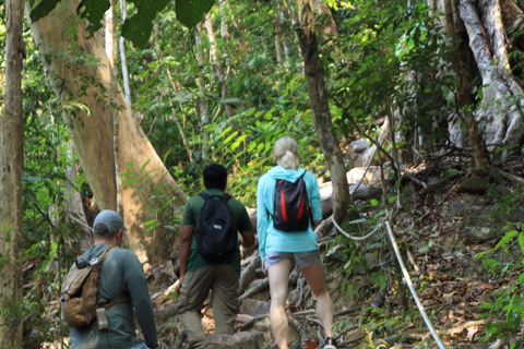 Langkawi: Mount Matchinchang Hiking Tour Hiking Mount Matchinchang