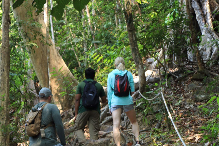 Langkawi: Mount Matchinchang Hiking Tour Hiking Mount Matchinchang