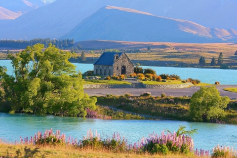 Van Christchurch: dagtocht Mount Cook en Lake TekapoVan Christchurch: dagtocht Aoraki/Mount Cook en Lake Tekapo