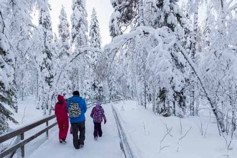 Ranua Wildlife Park Day: Visit the Arctic Animals