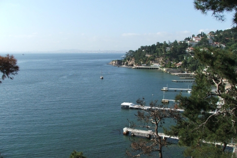 Istanbul : excursion d'une journée aux îles des Princes