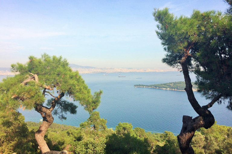 Istambul: Viagem de um dia às Ilhas dos Príncipes