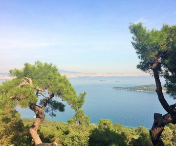 Istanbul: Day Trip to the Princes' Islands