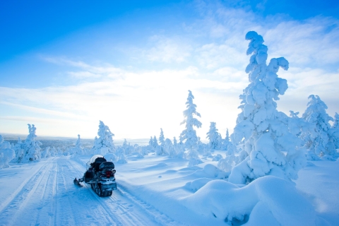Rovaniemi: sneeuwscootersafari in de poolcirkel