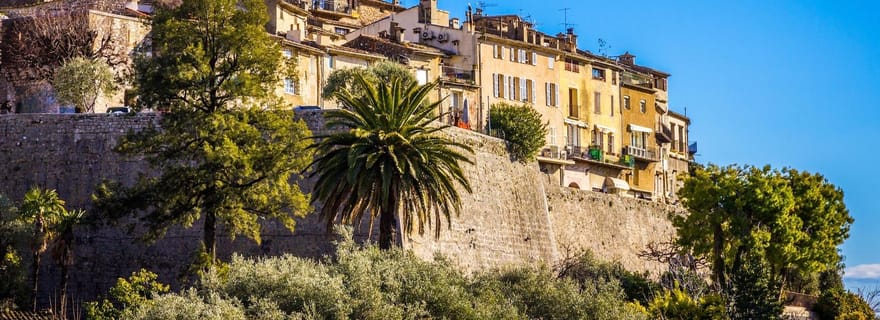 Goût de la Provence Visite d'une demi-journée privée dans la campagne française