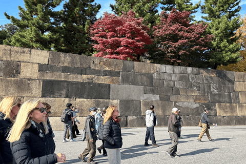 Tokio: Keizerlijk Paleis Historische Wandeltour, Kasteel van Tokio