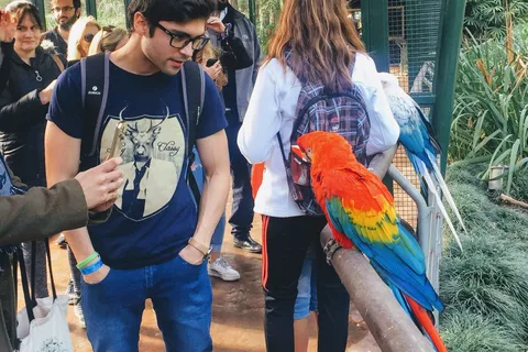 Buenos Aires: Bioparque Temaiken met transfers