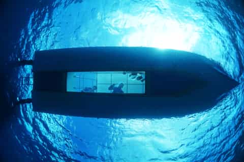 Curieuse St. Pierre Snorkeling and Glass Bottom Boat Tour