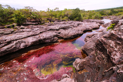 Caño Cristales Trip from Bogotá 3 Days spanish guide