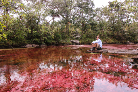 Caño Cristales Trip from Bogotá 3 Days spanish guide