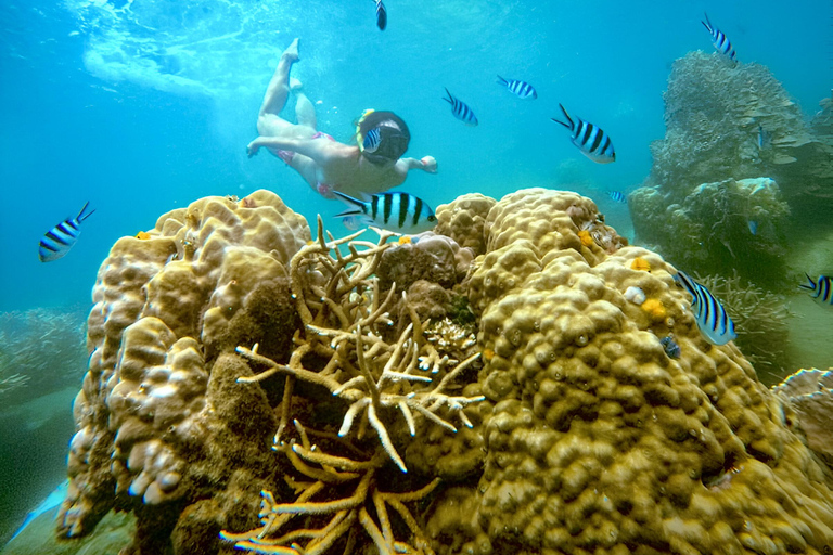 Koh Tao: Excursión de snorkel a la isla de Nang Yuan y bahías ocultas