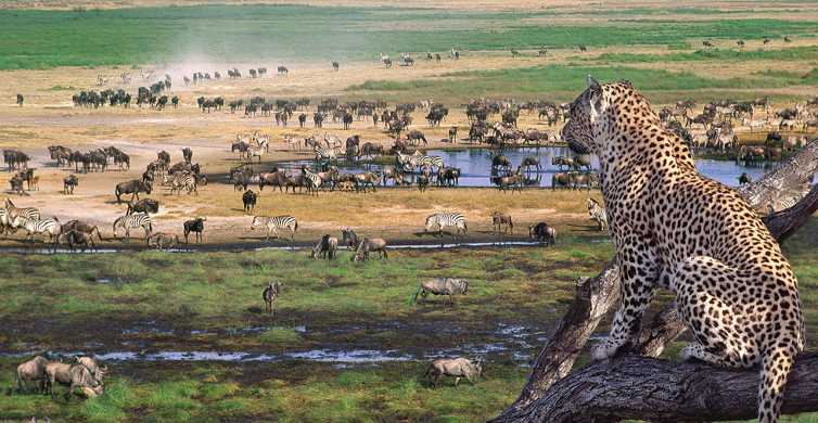 From Arusha 3 Day Tarangire Ngorongoro and Manyara Safari GetYourGuide