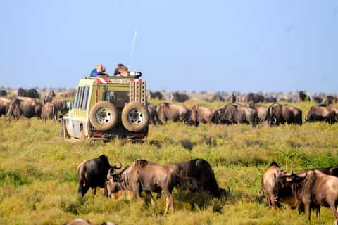 2 Days 1 Night Tarangire & Ngorongoro Crater