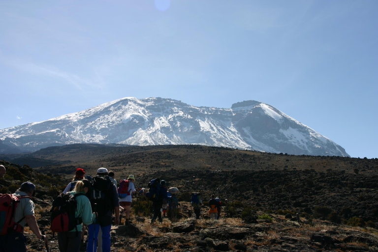 Moshi: tour guiado de un día por el Kilimanjaro