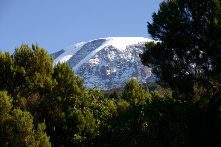 Moshi: tour guiado de un día por el Kilimanjaro