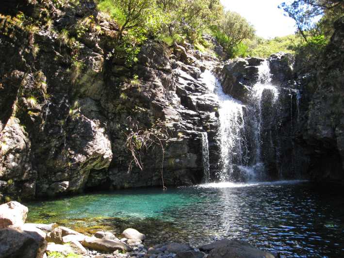 From Funchal: Madeira Lakes Levada Guided Hike