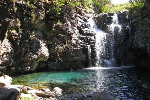 Au départ de Funchal : balade dans les montagnes de MadèreBalade privée dans les montagnes de Madère