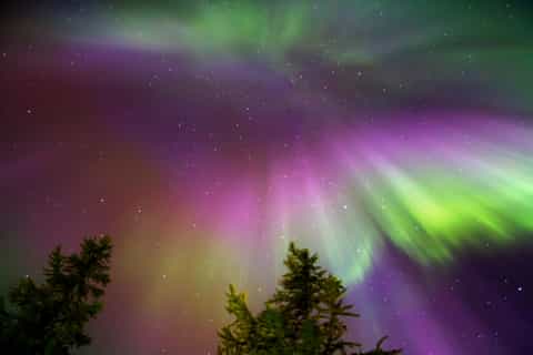 Rovaniemi: Aurora Borealis Snowmobile Safari & Campfire BBQ