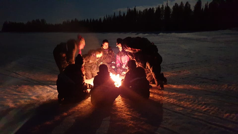 Rovaniemi: Aurora Borealis Snowmobile Safari with Campfire | GetYourGuide