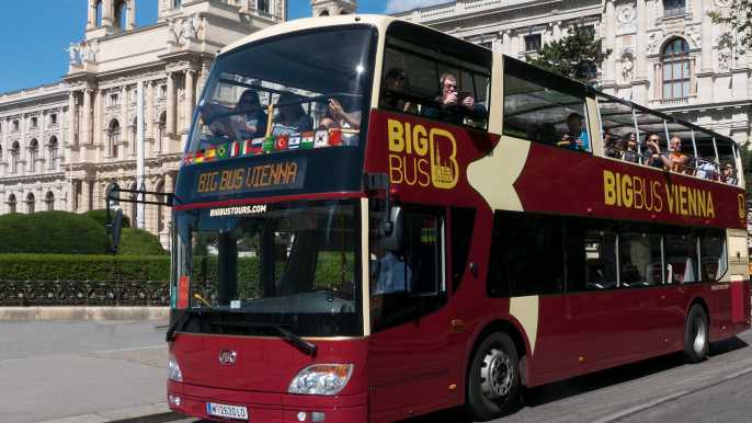 Viena: tour en autobús turístico con paradas libres y opción de crucero